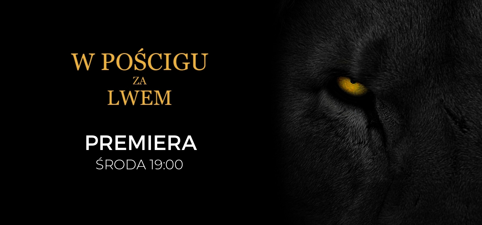 W poÄšÂcigu za lwem